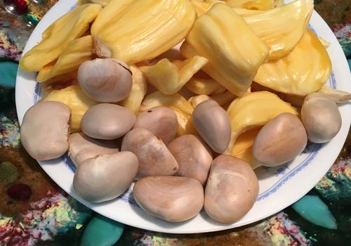菠萝蜜中间的核能吃吗? 菠萝蜜核怎么吃最好
