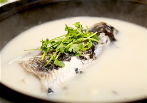 炖鱼头汤用什么鱼 鱼头和什么搭配煲汤好