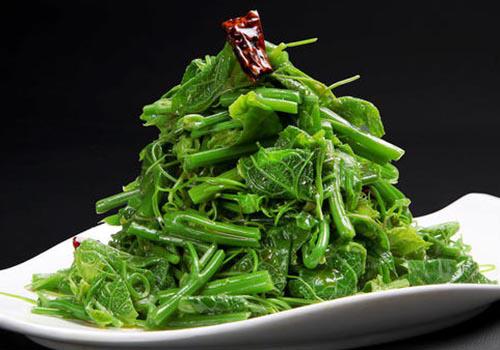 佛手瓜苗的功效与作用[图]