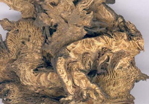 广升麻的功效与作用