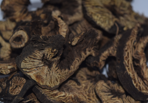 广升麻的功效与作用