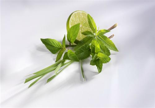 柠檬草的功效与作用