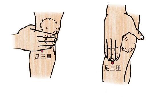 足三里的准确位置图,足三里穴位位置图,足三里的位置-乐哈健康网