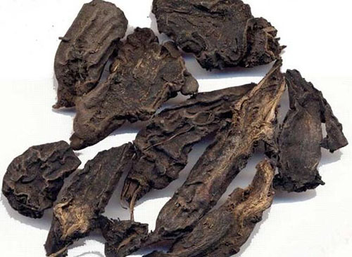 川乌的功效与作用及禁忌