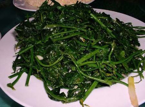 车前草怎么吃,车前草的吃法及功效,车前草的使用方法-乐哈健康网